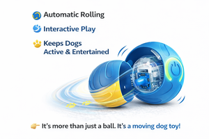 Bola mainan anjing memantul, dengan bola anak anjing interaktif tahan melompat acak untuk latihan ambil dalam dan luar ruangan - Product Image 4