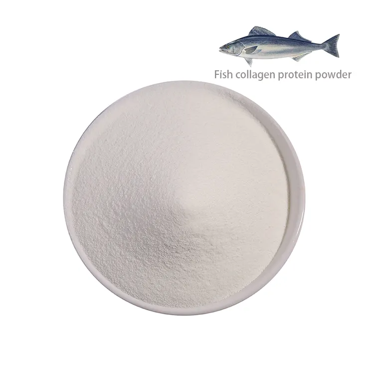 Peptídeos de pó hidratizado puro do colágeno do peixe para a saúde da qualidade alimentar e cosméticos