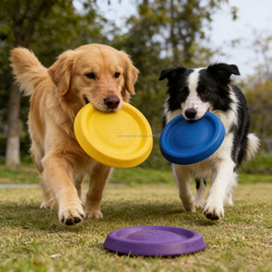 Disque volant pour chien résistant aux morsures en EVA, jouet d'entraînement interactif pour <span class=keywords><strong>Labrador</strong></span>, <span class=keywords><strong>Golden</strong></span> <span class=keywords><strong>Retriever</strong></span> et Border Collie - Product Image 1
