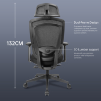 Chaise de bureau ergonomique à double structure