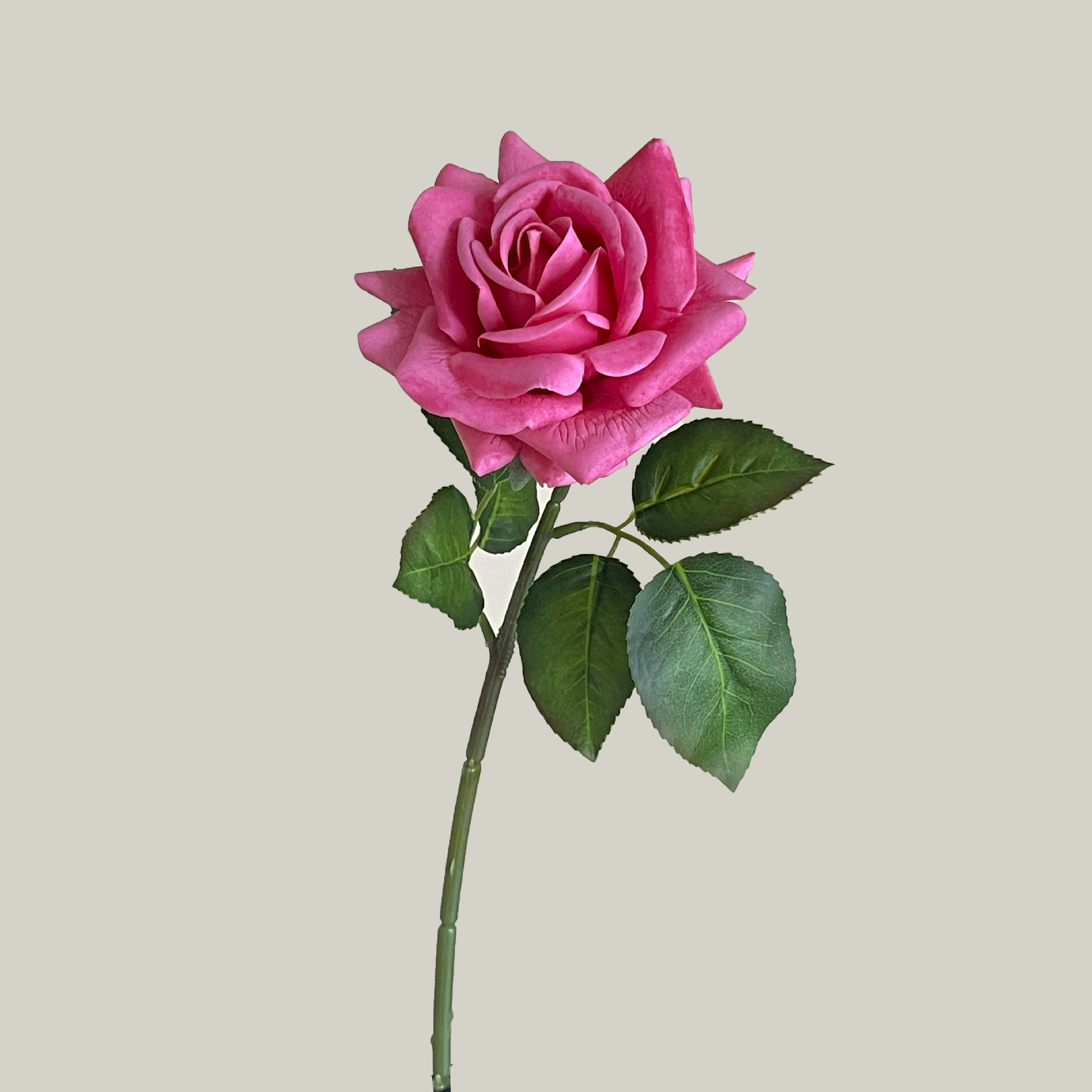 Rosa roja