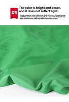 Support de fond vert 2x2m en mousseline pour appareil photo avec écran vert de photographie et tissu de maturation triangulaire pour diffusion en direct
