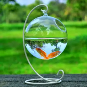 Aquarium en verre Transparent, 5 pièces, décorations légères