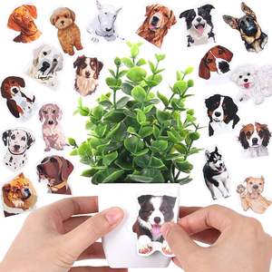 उच्च गुणवत्ता सिमुलेशन छोटा पॉट लैवेंडर नीलगिरी हरा पौधा घर की सजावट हरे पौधे छोटे बोनसाई फूल - Product Image 3