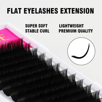 Extensions de cils synthétiques de haute qualité, douces, naturelles, plates, en forme d'ellipse, faites à la main, vegan, sans cruauté, C/CC/D/DD 0.15 0.20mm