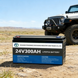 แบตเตอรี่ลิเธียมไอออน<span class=keywords><strong>24V</strong></span> 25.6V 12V 48V 51.2V 100Ah 50Ah 200Ah เก็บพลังงาน300Ah แบตเตอรี่ LifePo4พร้อม BMS - Product Image 3