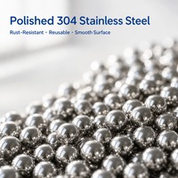 Pastilles de nettoyage réutilisables en acier inoxydable 304 de 3 mm dans un pot en PET transparent avec filtre pour bouteille décanteuse