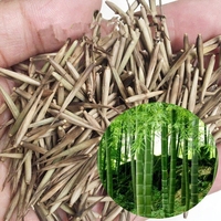 Semillas de Bambú Moso (Phyllostachys Edulis) de Suministro Directo de Fábrica para Cultivo de Plantas Artificiales