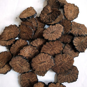 Atacado Cistanche deserticola soft novos bens Cistanche deserticola raiz inteira fatiada Ginseng do deserto - Product Image 2