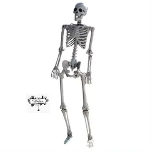 Kerangka Halloween manusia realistis tulang hantu bergerak sendi menakutkan plastik dalam ruangan dan luar ruangan untuk dekorasi