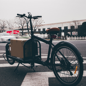 chinese factory price cargo ebike with big box for delivery