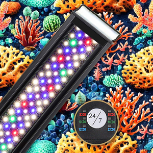 3 modèles de mini <span class=keywords><strong>aquarium</strong></span> en acrylique éclairage LED ornements d'<span class=keywords><strong>aquarium</strong></span> plantes aquatiques blanc <span class=keywords><strong>bleu</strong></span> couleur métal matériel - Product Image 3