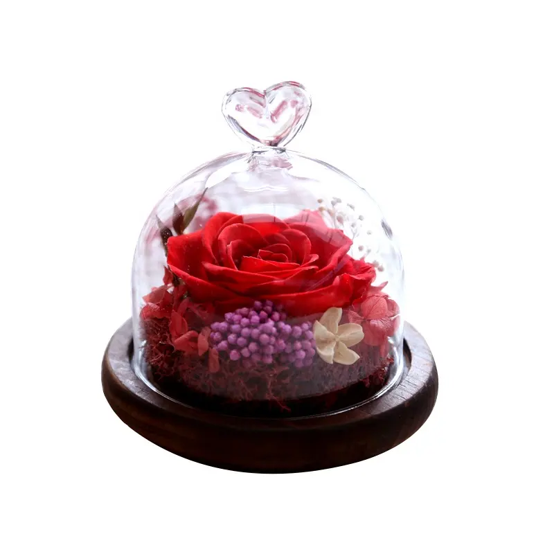 ガラスにセットされたギフトすべての愛の工場卸売保存された花永遠のバラロマンチックな母の日環境に優しい