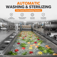 Fruit- en groenteverwerkingsmachines, fruit- en groentewasmachine, bubbelwasmachine voor fruit en groenten