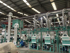 Ligne de production de farine de blé 30TPD, machine de traitement <span class=keywords><strong>du</strong></span> blé pour l'usine <span class=keywords><strong>du</strong></span> <span class=keywords><strong>Soudan</strong></span> - Product Image 3