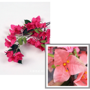 Bougainvillier artificiel en soie à 3 branches bon marché pour la décoration de mariage, la décoration de la maison - Product Image 4
