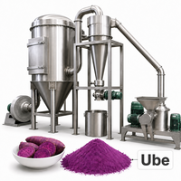 Broyeur ultra-fin Brightsail pour patate douce violette, igname violette et ACM, destiné à l'industrie alimentaire