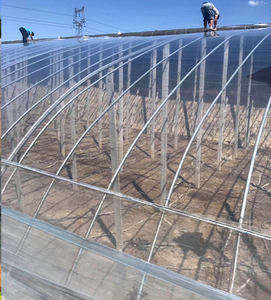 โรงเรือนเกษตรเรือนกระจกและอุโมงค์ฟาร์มฟิล์มพลาสติกสำหรับเรือนกระจกมะเขือเทศ - Product Image 4