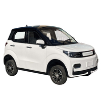 Mini Ecar Électrique SUV pour Adultes, 4x2 Sans Permis, Style Économique