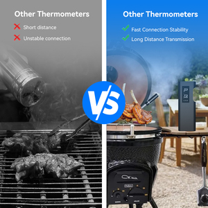Lonnmeter OEM y ODM compatible termómetro inalámbrico para carne IP68 impermeable 304 Sonda de acero inoxidable App Control termómetro para carne - Product Image 6
