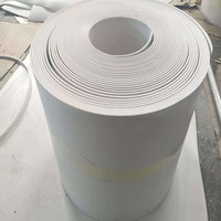 Matériau de joint en feuille de PTFE expansé de 10 mm