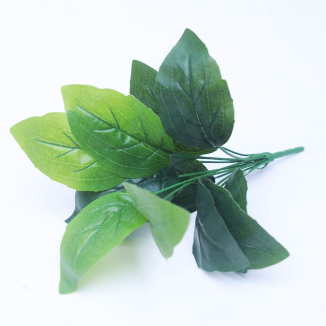 12 branches de feuilles de chou