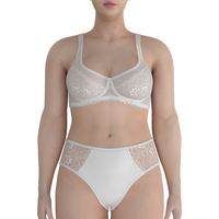 RTS Big Size Damen Unterwäsche Damen Plus Size Kleidung Damen Custom Design Big Size Unterwäsche Spitze BH & Brief Sets