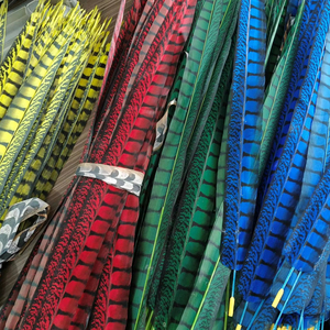 Vente en gros de plumes de faisan Lady Amherst artificielles teintées 24 pouces pour Noël/plumes de carnaval/chapeaux/robes/vêtements/fabrication de bricolage - Product Image 2