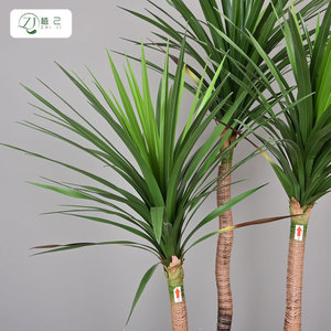 Arbre artificiel Dracaena Fragrans de 100-200 cm de haut, plante décorative d'intérieur de simulation, style palmier sur pied - Product Image 2