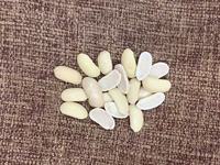 Haricots rouges décortiqués non pelés de qualité inférieure