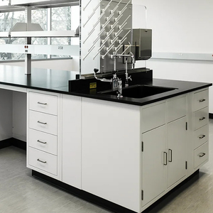 Tùy chỉnh-thực hiện kim loại nhựa Epoxy H khung thép gỗ phòng thí nghiệm bảng cho trường học bệnh viện sinh học hội thảo - Product Image 2