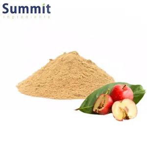 100% Pure Quality Natural Hawthorn Berry Fruit Herbal Extract Powder From Wholesale Supplier