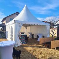 Carpa de Almacenamiento para Eventos, Bodas, Fiestas, Exposiciones, con Estructura de Aluminio Blanco para Exteriores, Techo de PVC, Tipo Gable