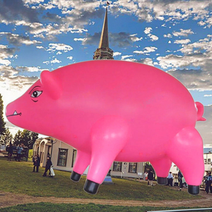 Nouvelle conception de poupée <span class=keywords><strong>gonflable</strong></span> en PVC en forme de grand cochon, mascotte d'<span class=keywords><strong>animal</strong></span> <span class=keywords><strong>gonflable</strong></span> de grande taille, mascotte d'activité de festival, mascotte de place publique - Product Image 2