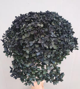 Hortensias Secas Naturales Preservadas al por Mayor de Fábrica Culinan para Decoraciones de Boda, Hortensias de Tacto Real - Product Image 6