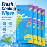 Lingettes rafraîchissantes pour le corps en emballage individuel, marque privée OEM, avec extraits de plantes et d'aloe vera