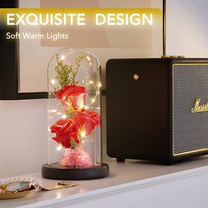 Оптовая продажа, светлая Роза, вечная Цветочная Подарочная коробка, сохраненный стеклянный купол для рождественской годовщины, День матери, День святого Валентина - Product Image 3