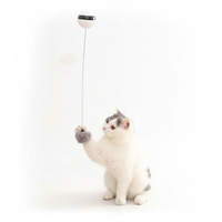 Jouet Électronique Intelligent pour Chat : Balle Électrique Automatique Rebondissante, Yoyo de Pêche, Jouet de Teaser et Balle Électrique Relevable pour Chats