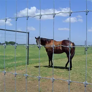 Cavallo nuovo prodotto cerniera congiunta recinzione da campo per bovini affidabile recinzione per animali di grandi dimensioni