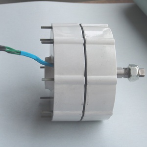 Générateur magnétique portable triphasé 12V/24V NdFeB 500 tr/min 300W AC pour système éolien RX-300PH-2 300W - Product Image 3
