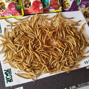 Manufacturers Wholesale <strong>Sale</strong> Fine Processing 100% Natural Protein Microwave Dried Pellets Dry Mealworms Reptile Food Skin Coat - Product Image 6