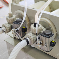 Machine de remplissage automatique de liquides corrosifs, haute précision, remplisseuse de bouteilles à 2 buses pour détergent et eau de Javel