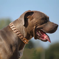 Chaîne cubaine pour chien en acier inoxydable 316L, collier et laisse pour chien de compagnie en diamant plaqué or 18 carats