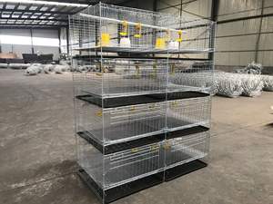 Jaula de cría de <span class=keywords><strong>pollitos</strong></span> recién <span class=keywords><strong>nacidos</strong></span> 1000 condición de jaula de pollo para bebés nuevo - Product Image 2