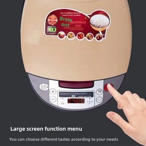 Olla Arrocera Dorada Multifuncional para el Hogar, de Gran Capacidad de 5 Litros, Estilo Leña, con Función de Temporizador, 220V, China - Product Image 5