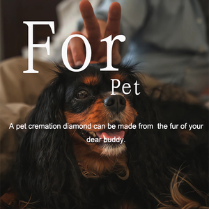 QiMing rond brillant étoile mêlée <span class=keywords><strong>diamant</strong></span> E F couleur VVS <span class=keywords><strong>1</strong></span> clarté cultivé en laboratoire CVD avec certification IGI prix des diamants en vrac - Product Image 5