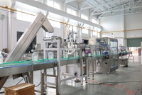 Machine d'application de poignées pour bouteilles d'eau de 5L, équipement de montage de poignées en plastique pour bidons d'eau, pour l'emballage de bouteilles