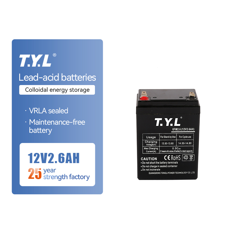 T Y Lsealed Lead Acid Battery