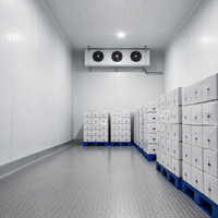 Petite chambre froide pour le stockage de blocs de glace avec unité de condensation refroidie par air et dégivrage électrique par réfrigération