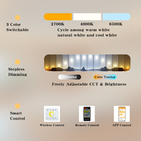Tira de Luces LED Flex CCT Cob, 12v 24v, Regulable sin Escalonamientos, 2700K-6500K, Control por Aplicación Inteligente, para Gabinetes, Dormitorios, Iluminación Decorativa